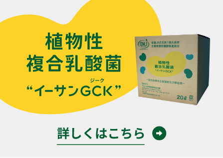 イーサンGCK